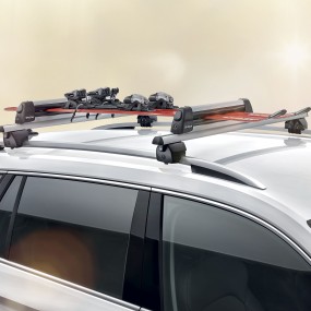 Porte-skis