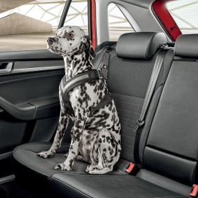 Ceintures de sécurité pour chien taille M