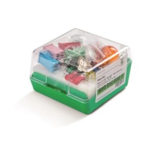Kit ampoules pour phares basiques FABIA & FABIA COMBI