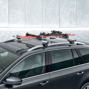 Porte-skis