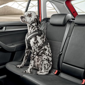 Ceintures de sécurité pour chien taille M